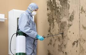 Best Mold Removal for HVAC Installations  in Elizabeth Lake, CA